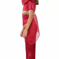 Don Disfraz Disfraz De Princesa Árabe Velos Para Niña