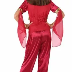 Don Disfraz Disfraz De Princesa Árabe Velos Para Niña -Tienda De Don Disfraz disfraz de princesa arabe velos para nina 2.jpg