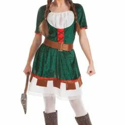 Don Disfraz Disfraz De Robin Hood Vestido Para Mujer