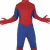 Don Disfraz Disfraz De Spider Boy Infantil -Tienda De Don Disfraz disfraz de spider boy infantil.jpg