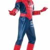 Don Disfraz Disfraz De Spiderman™ Platinum Infantil -Tienda De Don Disfraz disfraz de spidermantm platinum infantil.jpg
