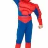 Don Disfraz Disfraz De Hombre Araña Infantil -Tienda De Don Disfraz disfraz hombre arana infantil